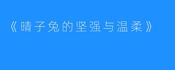 《晴子兔的坚强与温柔》