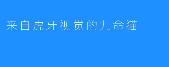 来自虎牙视觉的九命猫