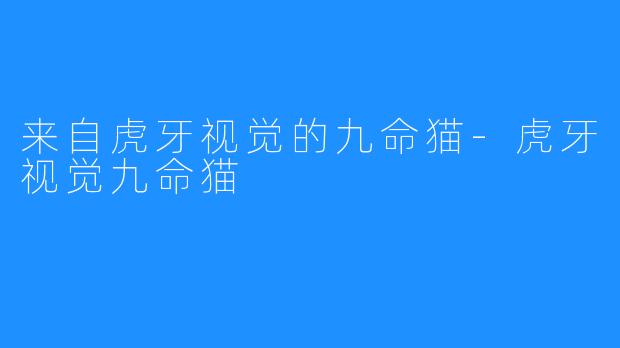 来自虎牙视觉的九命猫-虎牙视觉九命猫