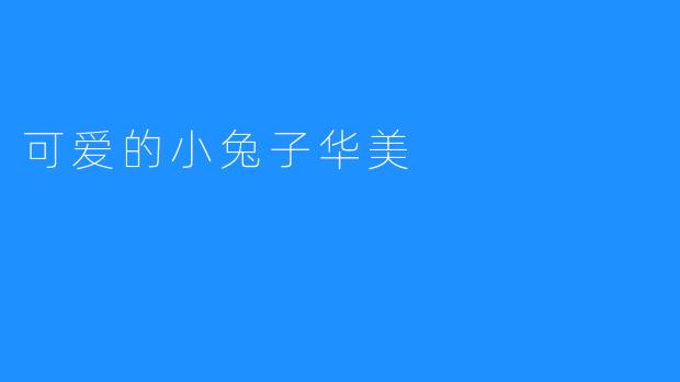 可爱的小兔子华美