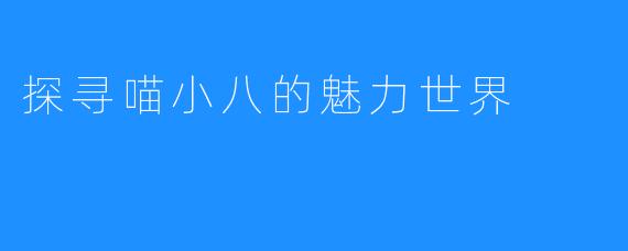 探寻喵小八的魅力世界