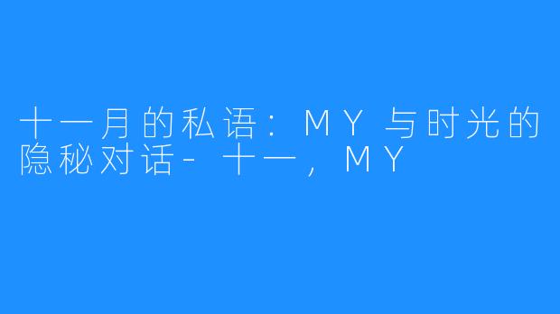 十一月的私语：MY与时光的隐秘对话-十一，MY