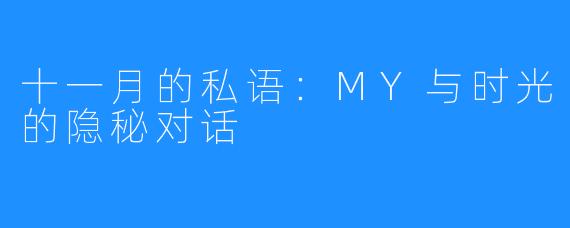 十一月的私语：MY与时光的隐秘对话