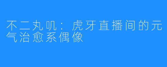 不二丸叽:虎牙直播间的元气治愈系偶像