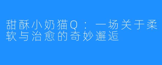 甜酥小奶猫Q：一场关于柔软与治愈的奇妙邂逅