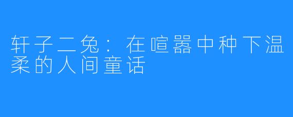 轩子二兔：在喧嚣中种下温柔的人间童话