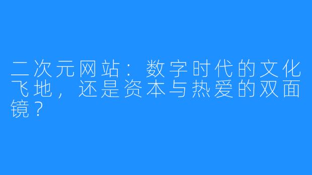 二次元网站：数字时代的文化飞地，还是资本与热爱的双面镜？